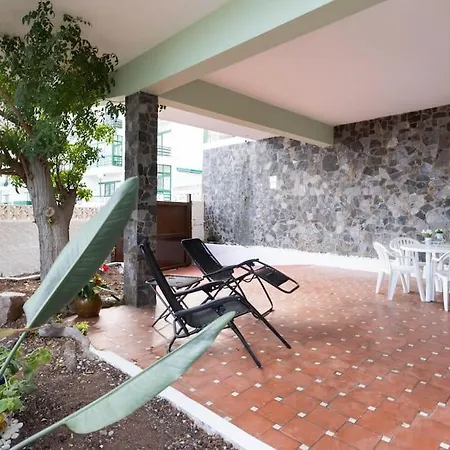 La Esquina Del Cactus *